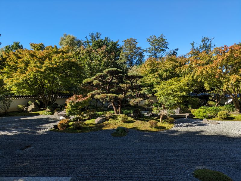 Ein Foto vom japanischen Garten in Bielefeld aus dem Jahr 2023